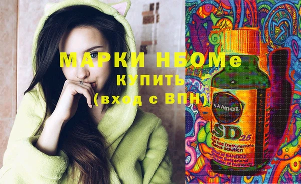 шишки Ладушкин
