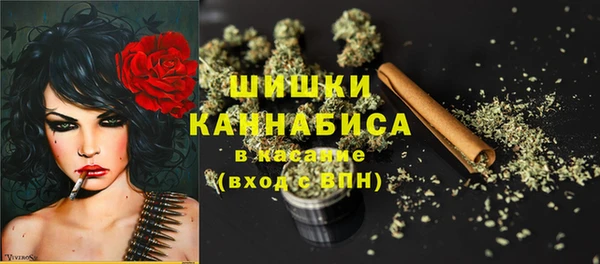 амф Лабытнанги