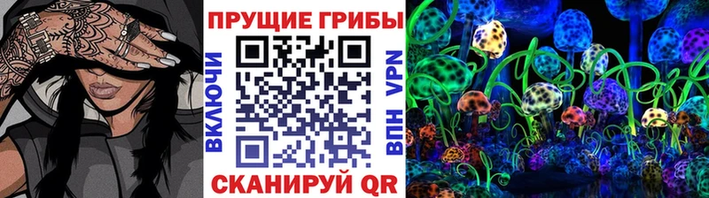 Галлюциногенные грибы мицелий  дарк нет формула  Верхоянск  сколько стоит 